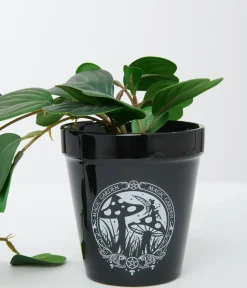 Unique Vintage Halloween>Black Magic Garden Plant Pot