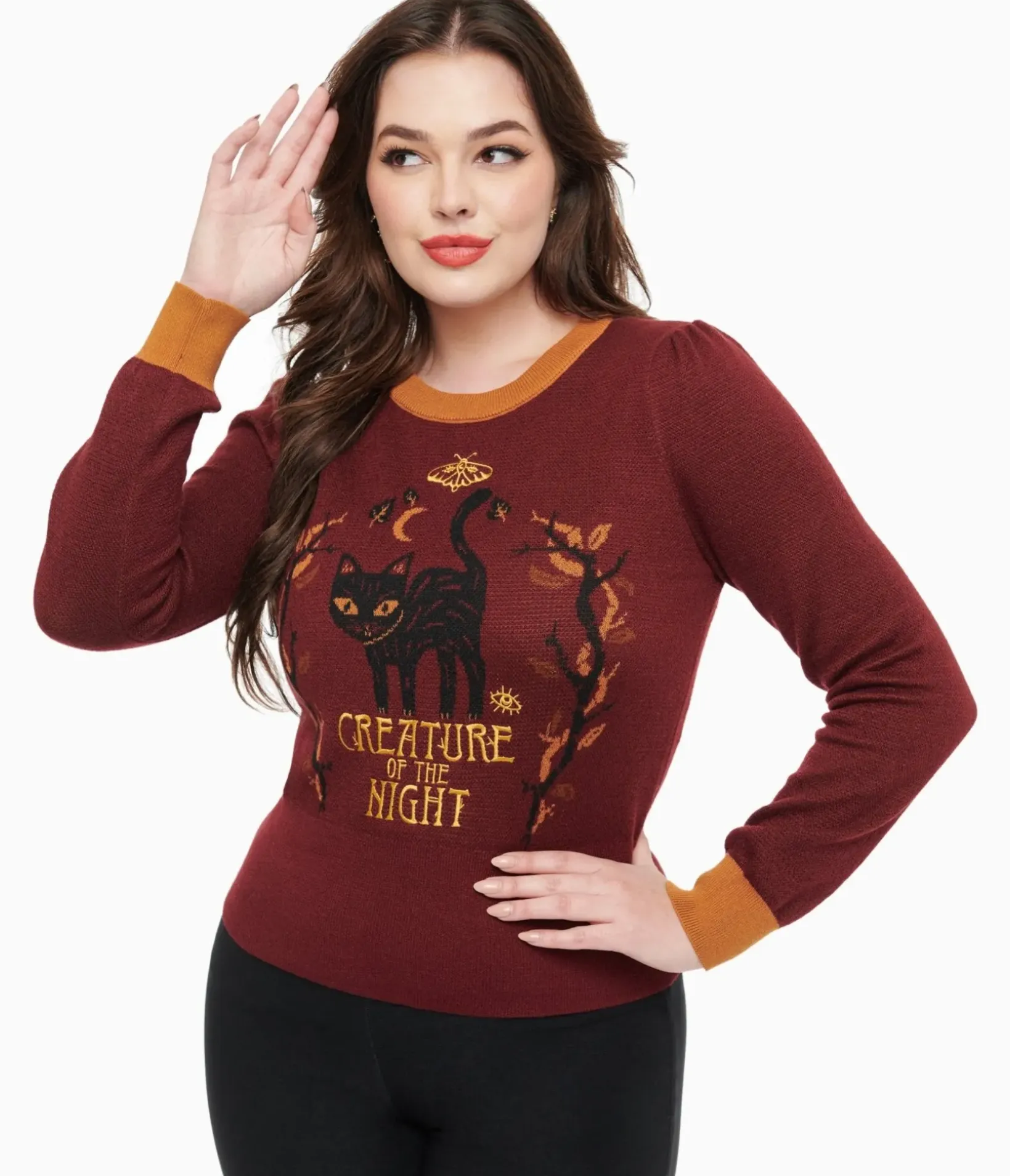 Unique Vintage Sweaters & Cardigans>Disney Hocus Pocus Collection by Burgundy Binx Hocus Pocus Embroidered Sweater