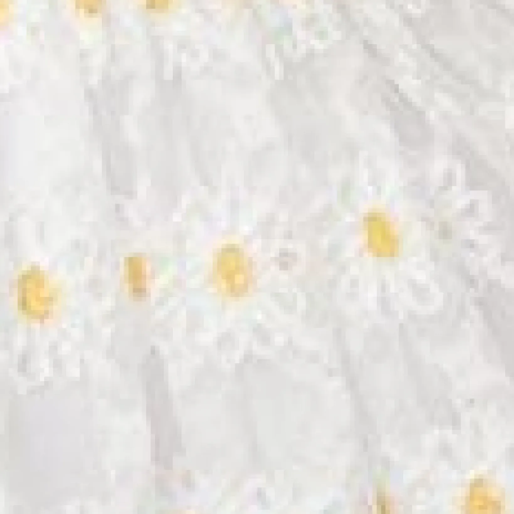 Unique Vintage Babydoll|Babydoll>Smak Parlour White Daisy Off the Shoulder Babydoll Dress