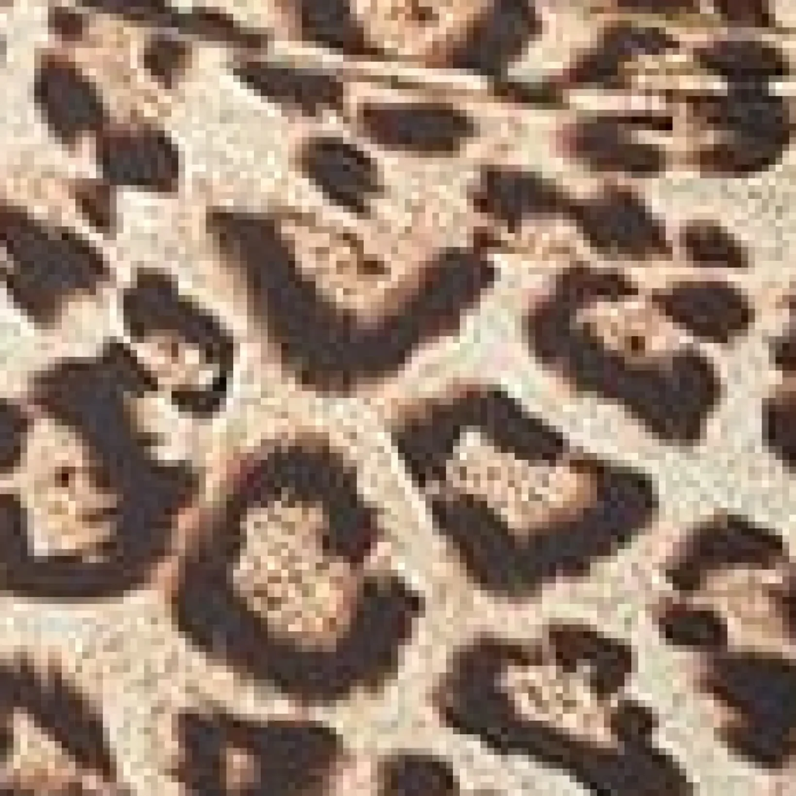 Unique Vintage One Piece Swim|One Piece Swim>Plus Size Leopard & Black Mesh Sleeved Torrey Swimsuit