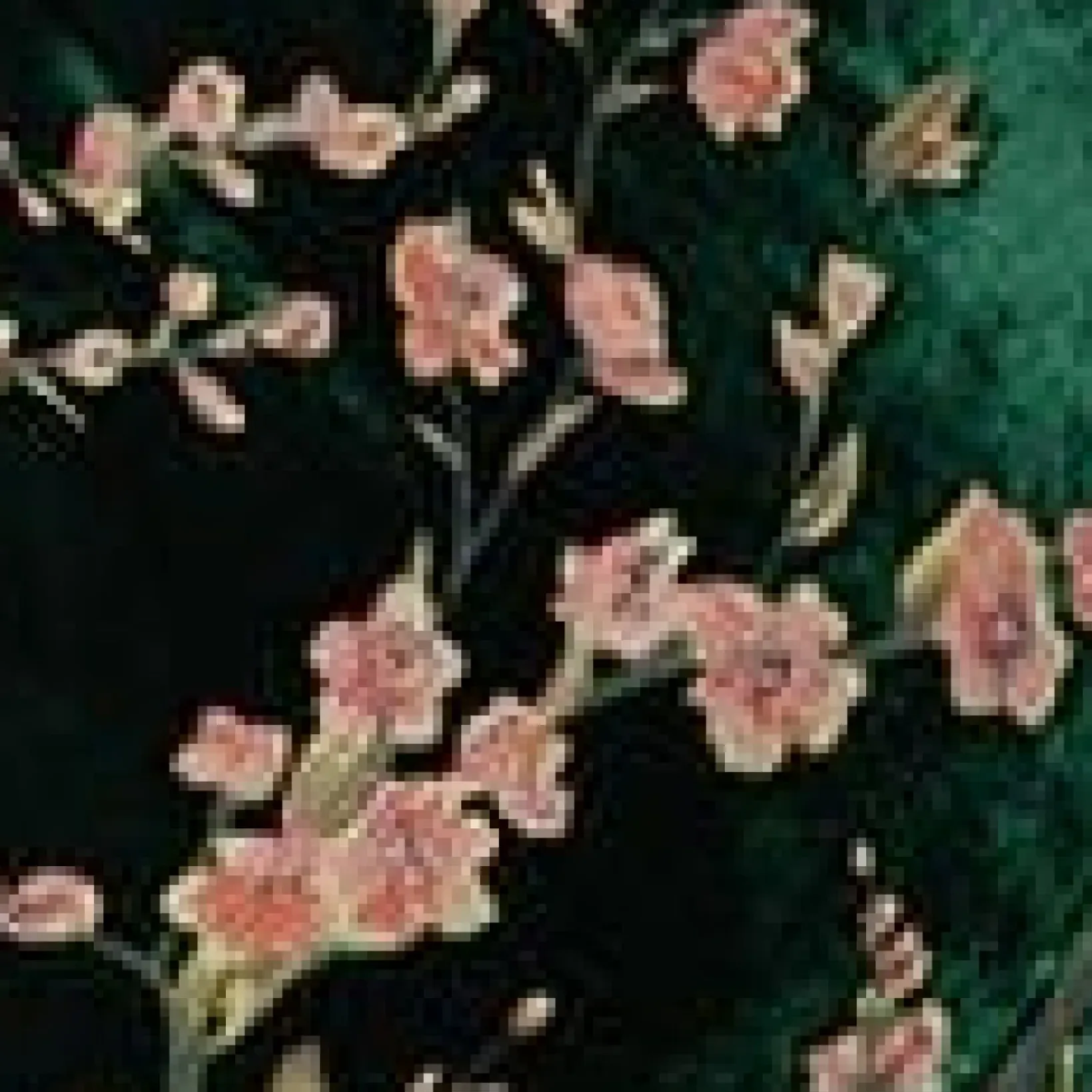 Unique Vintage Special Occasion|Bridesmaid Dresses>Plus Size 1920s Emerald Velvet Floral Burnout Hemingway Flapper Dress